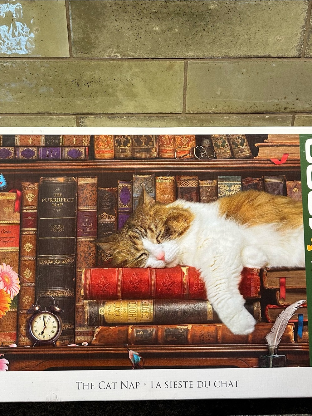 The Cat Nap 1000 Piece Jigsaw Puzzle - Sleepy Orange & White Cat Complete